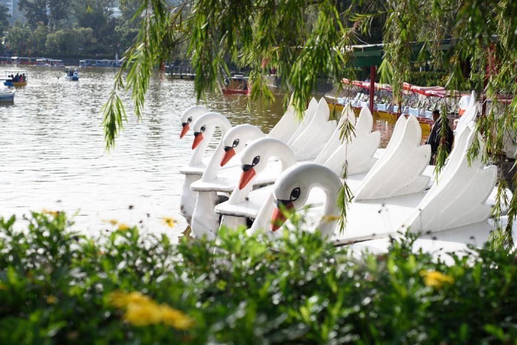 Zen Rooms Venus Parkview Baguio Baguio City Exteriér fotografie