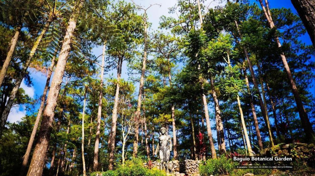 Zen Rooms Venus Parkview Baguio Baguio City Exteriér fotografie